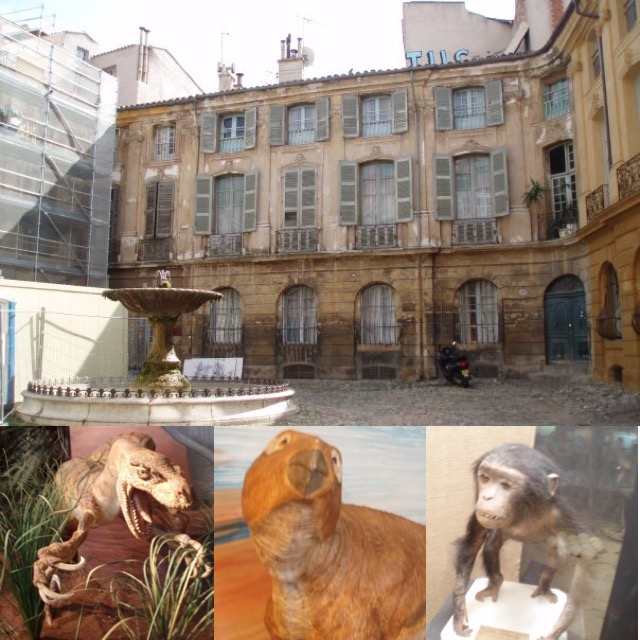 4 photos including Place d'Albertas and a taxidermy dinosaur and monkey from the Museum d'Histoire Naturelle, Aix-en-Provence, France