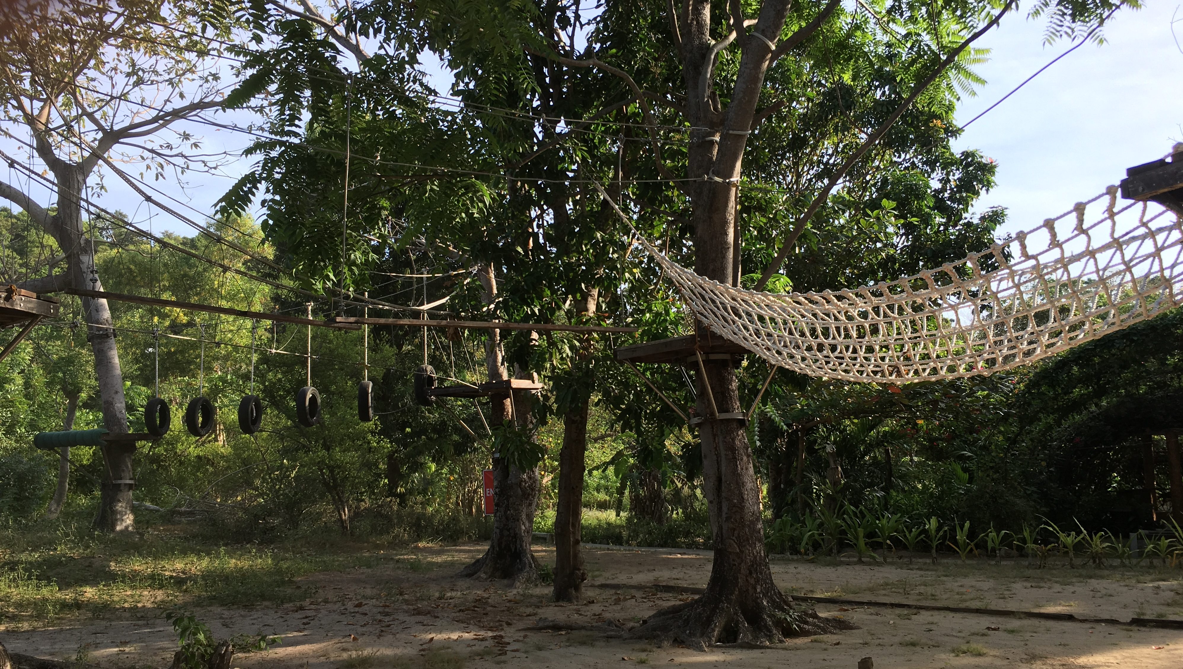 a rope course suspended between trees including nets and tire swings