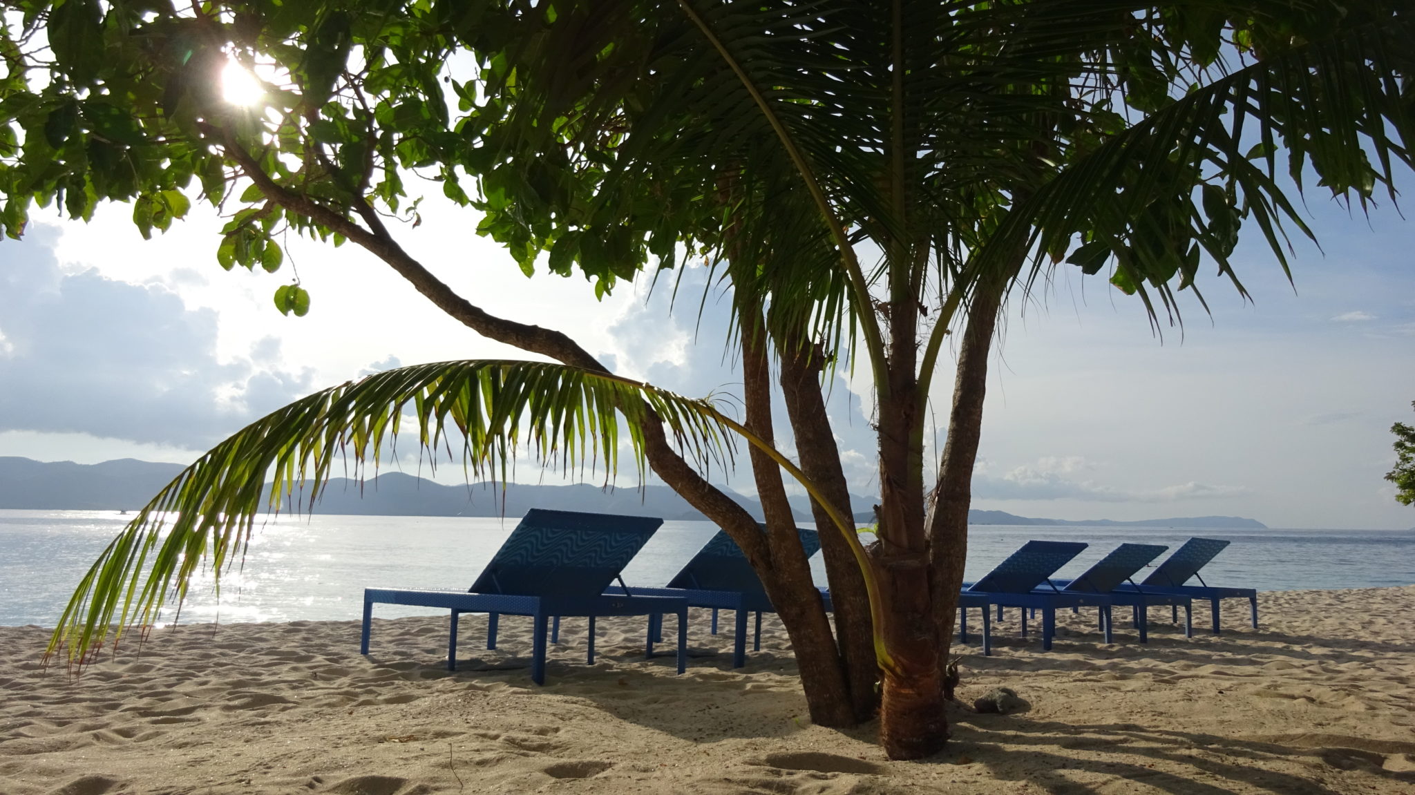 sun loungers in front of a tree on the sandy beach of the South China Sea