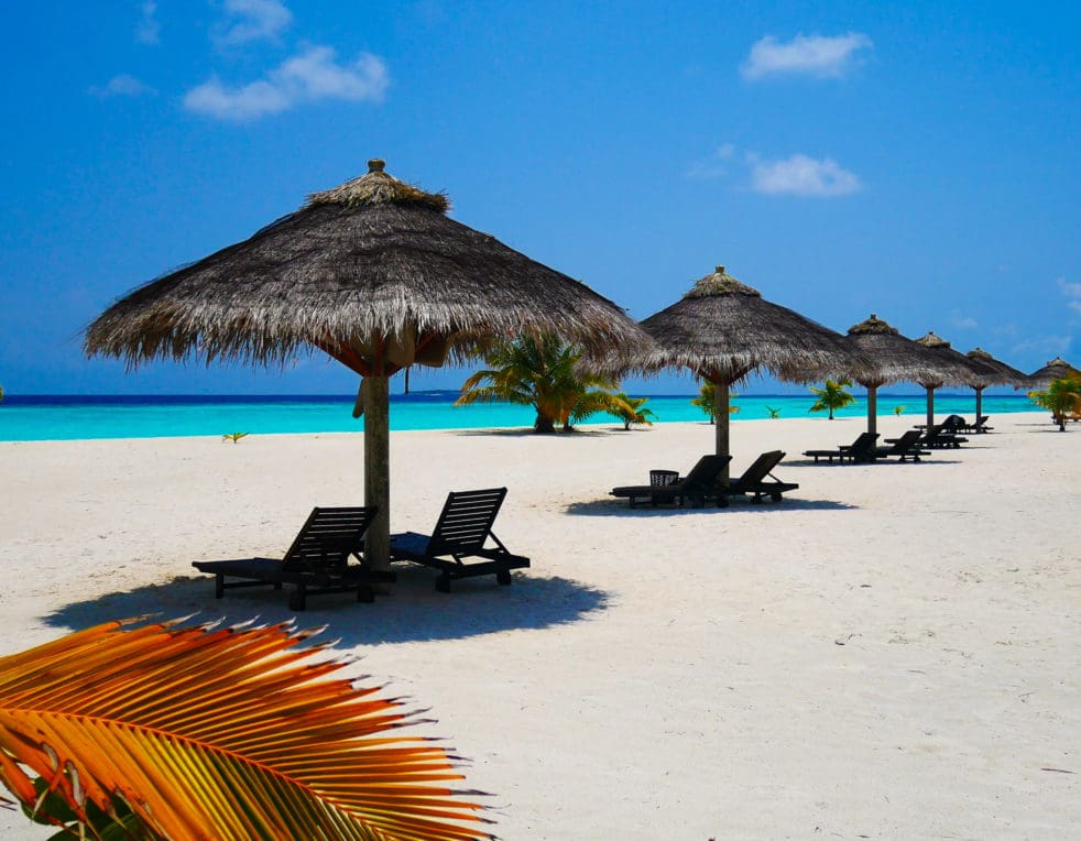 beach umbrellas and sun loungers on the beach at Kihaa Maldives