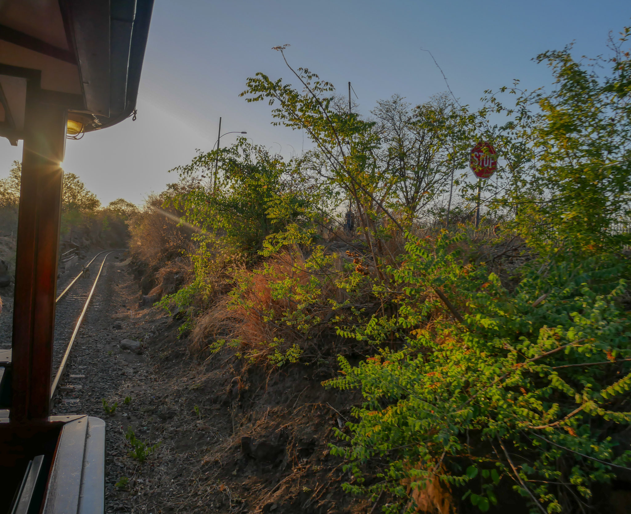 The dry bush alongside the tracks of the Royal Livingstone Express train