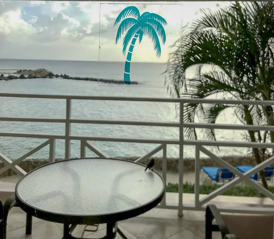 The a view of the sea from the window with the stone groin coming around. Rosie has celverly lined up a palm tree sticker on the window to make it look like the palm tree is on the groin....OK, it wasn't that clever