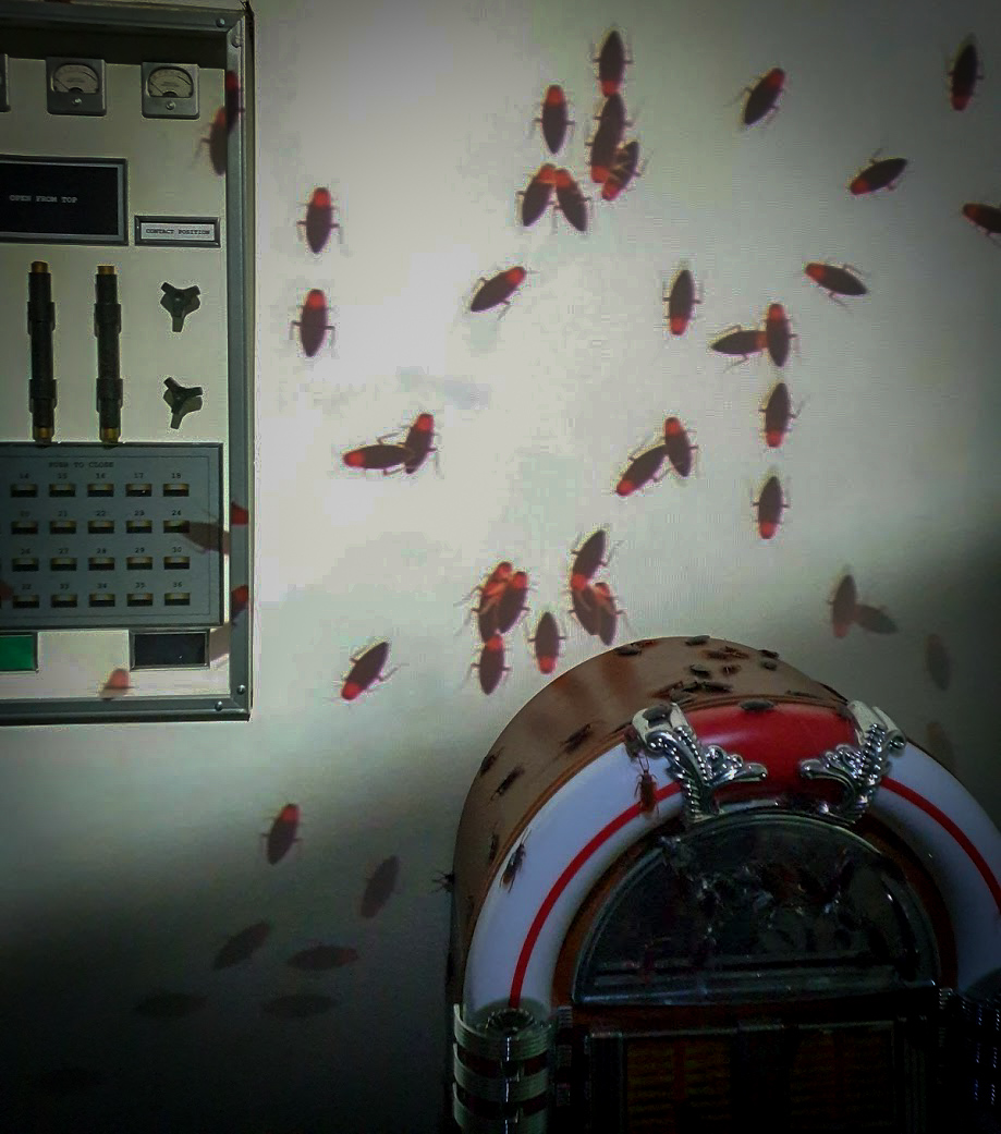 A wall and jukebox covered in cockroaches