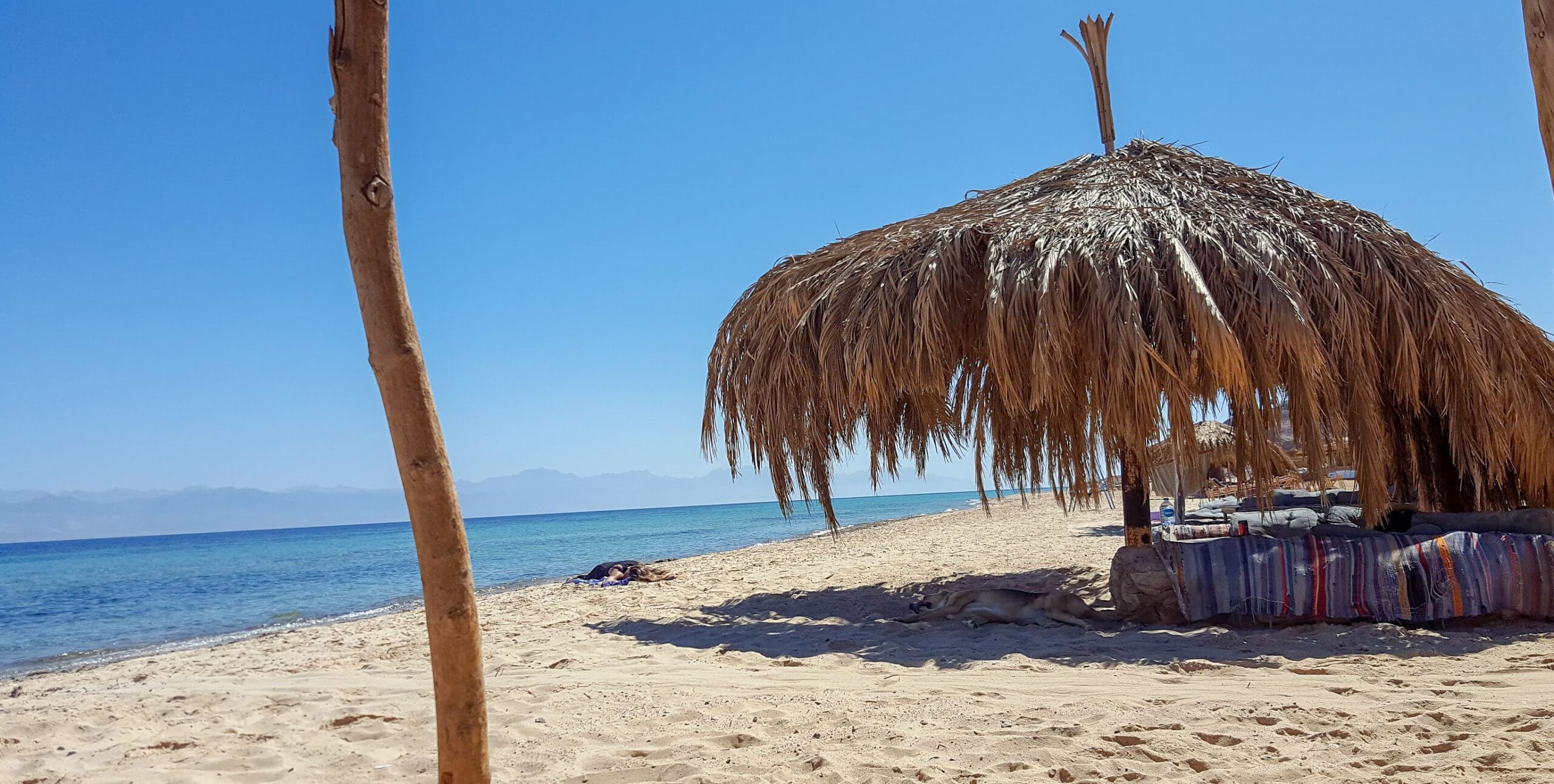 a palm shade on the beach at Aqua Sun Beach Camp, Gulf of Aqaba, Egypt