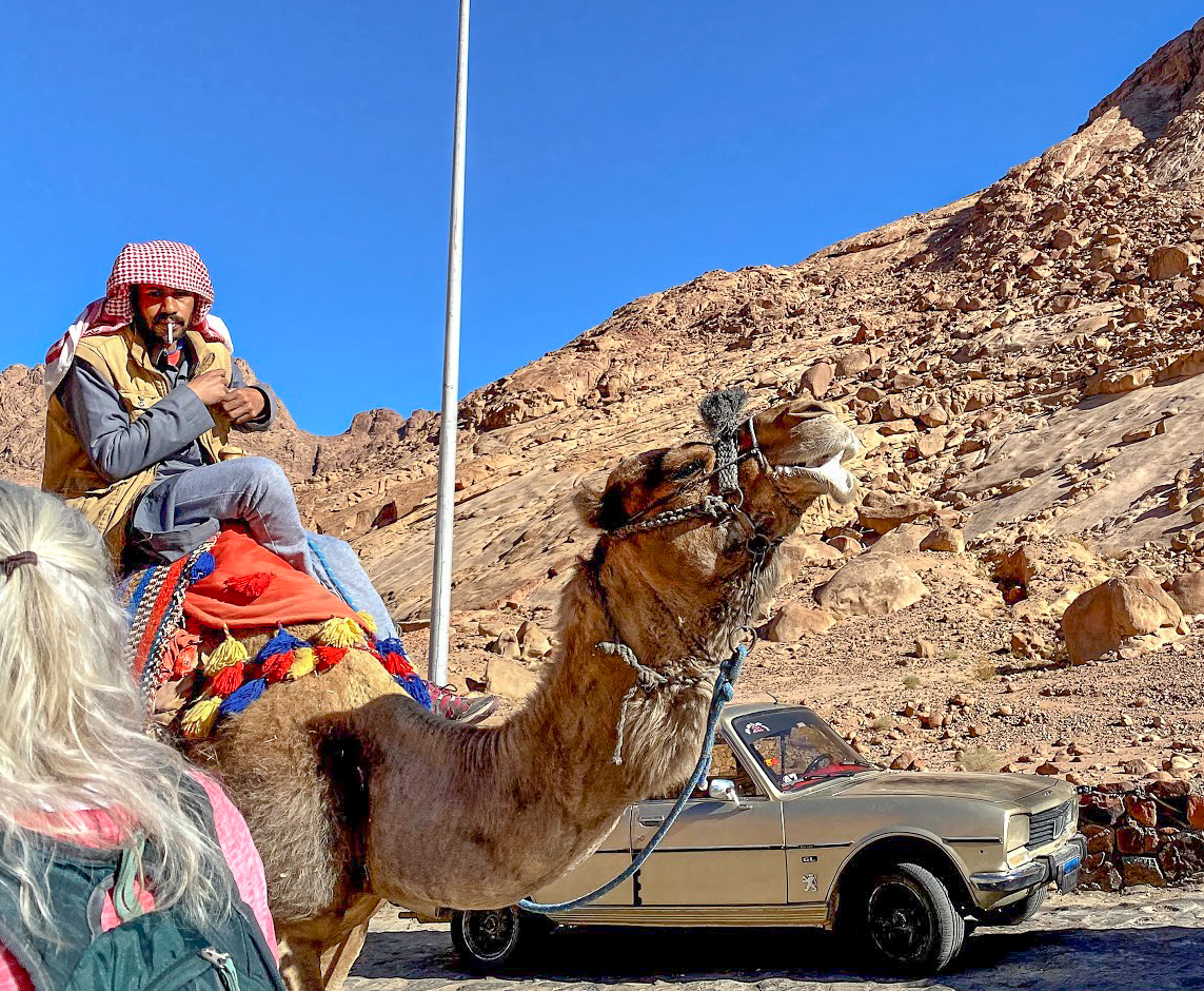 a man sitting on a camel in front of Mount Sinai, Egypt