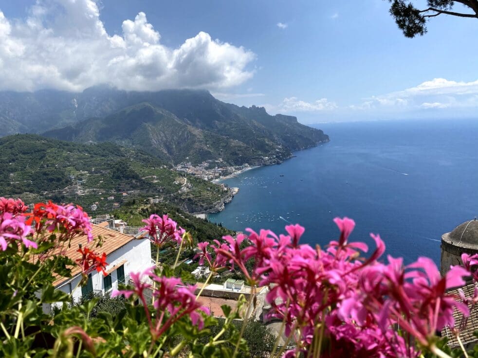 a view of the Amalfi coast Italy, with pink flowers in the foreground