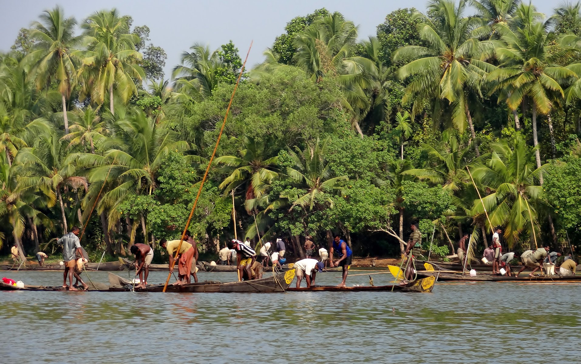Indian men fishing from wooden boats in the Kappil Backwaters, Kerala, India