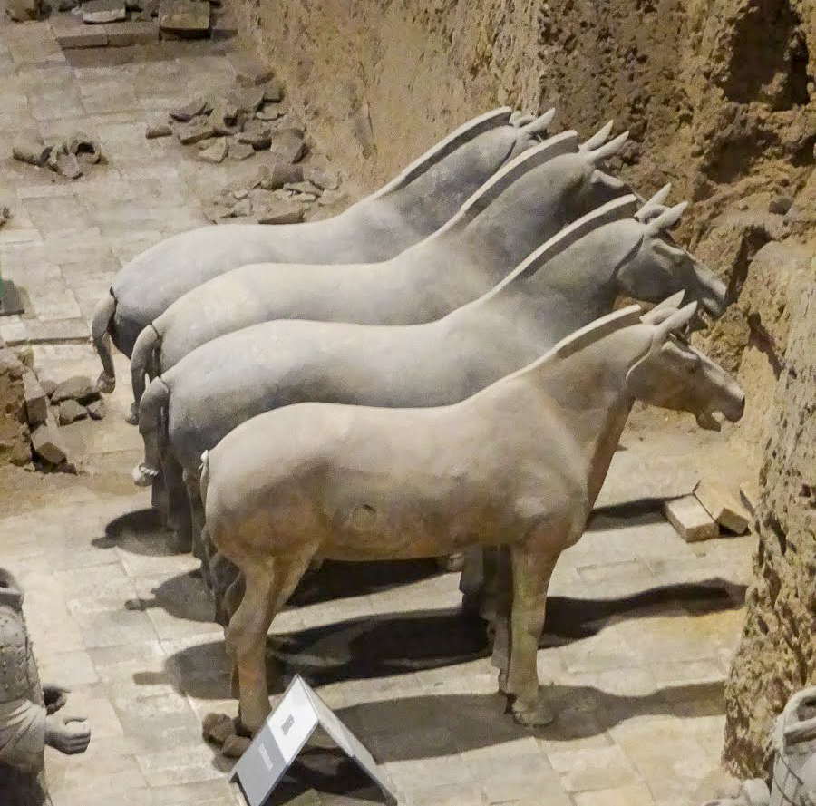 4 terracotta horses of the Terracotta Army in Pit 3 at Emperor Qinshihuang's Mausoleum, Xian, China