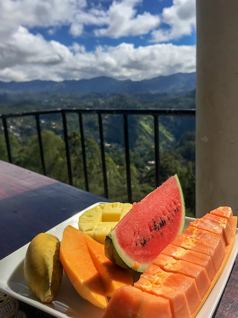 a plate of fruit with papaya, melon and pineapple on a table at Will Guest Homestay overlooking the hills of Ella, Sri Lanka